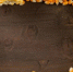 9fb859609e5c1069db6e3ac258e5cbf7dd25cd9a.jpeg - Primorye24.Ru