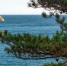 5cd0b29e7a1cfb1ae841bb58e0ae27e1bb928c3b.jpeg - Primorye24.Ru
