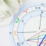 b4fd5621573c541107cb2d56fa6b1089d4baaec0.jpeg - Primorye24.Ru