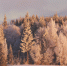 676aefe40dadaf3499959ca89d880438ecdcc30e.png - Primorye24.Ru