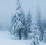 a8a2cd26e663a76d48d083de01984c4eca38a66b.png - Primorye24.Ru