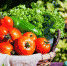 36129834584bf70b0814efd2ab2ca7ba23f04861.jpeg - Primorye24.Ru