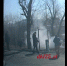 0f6a3cbbd7e64df7706f1e247fef2ec22b6f2a22.png - Primorye24.Ru