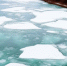 5cb7f79bca423a8ea3b4cdeb415950d07cdb3160.png - Primorye24.Ru