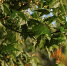 265d873d7e5959613b43ade1295c2edabf35b5e0.jpeg - Primorye24.Ru