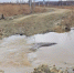 7fb9df296c7d0cb7364039f3a28e93d494ac4c39.jpeg - Primorye24.Ru
