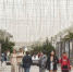 9804d77aed4f58d6d000a2870cef80809680b765.jpeg - Primorye24.Ru