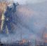 56becfb3b4ca6bad9ea139b8e54bcd6248cb358e.jpeg - Primorye24.Ru