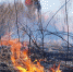 2e82f6ec017afa020f27e2bc5a5ec781135f7619.jpeg - Primorye24.Ru