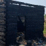 255985c7f6b7869d8b7e4f114171eea3527c0169.jpeg - Primorye24.Ru