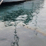 985807d08db49b3b24327ad257ee52e7ba6b147c.jpeg - Primorye24.Ru
