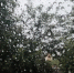 4906ab1961e9b99d55914cbcb5727f4685848132.jpeg - Primorye24.Ru