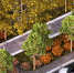 812f31820e40d910542749912e19cfb2f088cfcd.jpeg - Primorye24.Ru