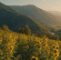 558d95399b5aa5014a9f303f69c563ef5f1a65f2.jpeg - Primorye24.Ru
