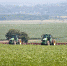 fa8d96aa251eab91b2dacf3b9eedf8b643a73a82.jpeg - Primorye24.Ru