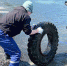 8d684ded161ea0e0f792373e9f55010064e8fb9f.jpeg - Primorye24.Ru
