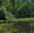 821552e3ab8e2a16f2cdd7f93ee7853f18911ed2.jpeg - Primorye24.Ru
