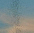 f496b604d953ca1a672571e4f5301a39b813e709.jpeg - Primorye24.Ru