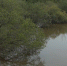18c2d4d3e710437753269e8bbcf2e076244a9b3c.jpeg - Primorye24.Ru
