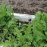 fe3cae8b266ab5b155ad3408e4b43e0a317c3673.jpeg - Primorye24.Ru