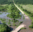 c38a68c7ef74ff1e531c84bc136ec5e9d9a7a8cd.jpeg - Primorye24.Ru