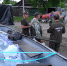 Семь населенных пунктов остаются без транспортного сообщения на севере Приморья - Администрация Приморского края