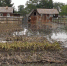84344f8b43a80e46124be2974303d546b5581b1a.jpeg - Primorye24.Ru