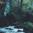 334cab52b2a28239ed6e444fbba4a6e53d82fd85.jpeg - Primorye24.Ru