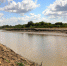 Расчистка Гудийской протоки обеспечила водой Аракумские и Нижне-Терские нерестово-выростные водоемы. Фото пресс-службы правительства Дагестана - Fishnews.Ru