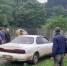 543fe0825ee225c2a33ba7a76586adaddef92207.jpeg - Primorye24.Ru
