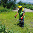 b41536be58b6f2a8192386895a5fcab3ab41fdb7.jpeg - Primorye24.Ru