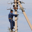 676c68309ffeb6e8472952e7aef887b3c8c99ea7.jpeg - Primorye24.Ru