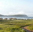 967ffc1317d9794acd69ae96e2c4b00c8033ef3d.jpeg - Primorye24.Ru