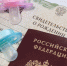 Более 14 миллионов рублей направили на декретные и больничные выплаты индивидуальным предпринимателям Приморья с начала года - Администрация Приморского края
