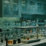 c99566d17c93747616f524b6781ca554bb74486d.jpeg - Primorye24.Ru