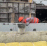 e88111a88e3d3624d1a6c5d1448cf460997b8917.png - Primorye24.Ru