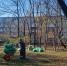 Во Владивостоке выкосили более 570 гектаров городских территорий - Администрация г. Владивостока