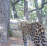 f11f45d934a049591c735dc1a5858a52f1a8cac6.jpeg - Primorye24.Ru