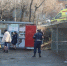 Во Владивостоке ДГК возьмет на себя расходы на лечение упавшей в кипяток женщины - КП Владивосток