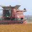 284e4a1d1173be45df4f8afa1fe682d462b5cc71.jpeg - Primorye24.Ru