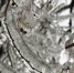 b88addefcedd9b29adb9976b9faf4a892b59bd51.jpeg - Primorye24.Ru