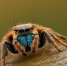 872a7e49f3d9bc9388e6078f7a92e651db306376.jpeg - Primorye24.Ru