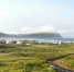 58d92f19cc74e4bf3e9d81b9dc98750454f5b42d.jpeg - Primorye24.Ru