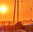 5fc2c80e78aabb04b7084189b7449545b3a50713.jpeg - Primorye24.Ru