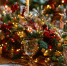 84954bc7cea4e5334a770fe95c38257516cdde74.jpeg - Primorye24.Ru