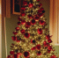 0f121b070660c90251237fc7a74c3533a95413ec.png - Primorye24.Ru