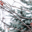 Сегодня во Владивостоке до -9 °C - NewsVl.Ru