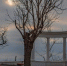 1588669e5d7d4b5f798deb9f7065e3b896dc1f35.jpeg - Primorye24.Ru
