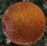 bac622b85e7db24bef6f4eb8c3c6f64b0e404b91.jpeg - Primorye24.Ru