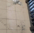 538e1fea2b0379e4ffffb08fbea221c334361b3e.jpeg - Primorye24.Ru